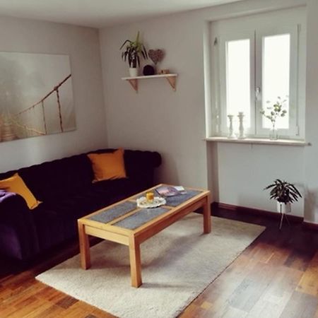 Ferienwohnung Südschwarzwald Wehr  Exterior foto